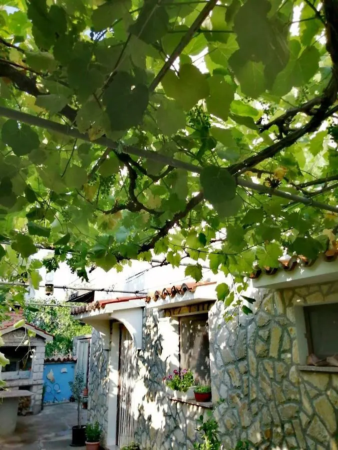 Apartman Tri Palme Gabonjin Apartment
